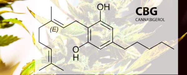 CBG
